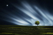 A lone tree stands on a grassy hill with rays of light shining down from the sky.