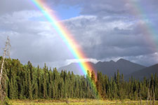 A double rainbow over a forest with mountains in the background