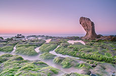 A large, isolated rock stands on a moss-covered shoreline during a pastel-colored sunset.