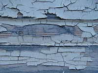 Close-up of peeling blue paint on wood