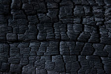 Charred wood texture with deep cracks