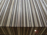 Striped design element with black lines on beige