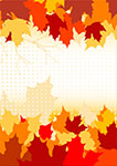 Autumn leaves in various shades of orange, yellow, and red.