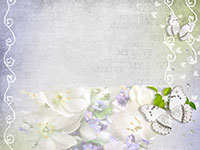 Floral background with white flowers and butterflies