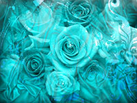 A close-up of a bouquet of blue roses with delicate petals and subtle shading.